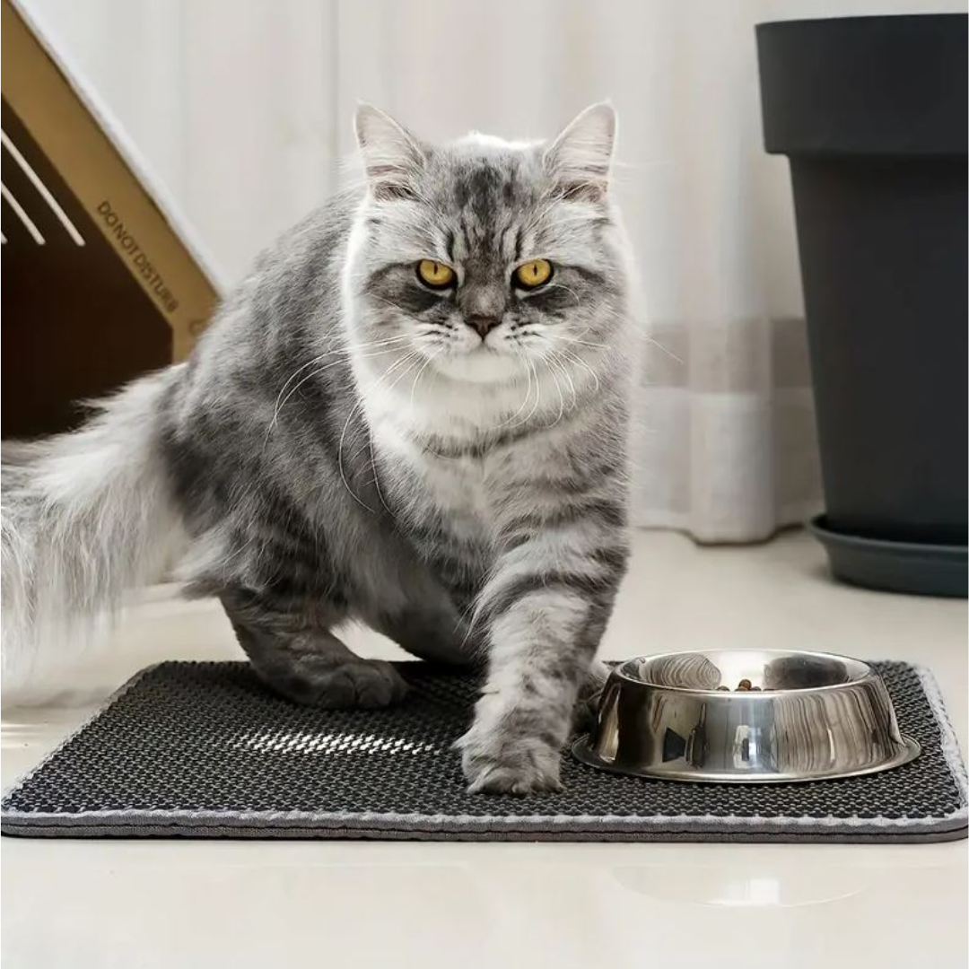 Tapete para Gatos de Doble Capa